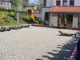 DSCF2943