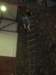 img_7657_jzzpl_small.jpg