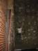 img_7664_jzzpl_small.jpg