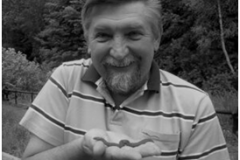 Guzik