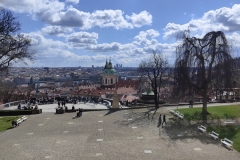 IMG20230328124629