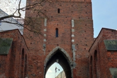 IMG_20221109_104529