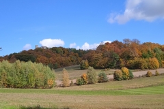 IMG_20221012_115802