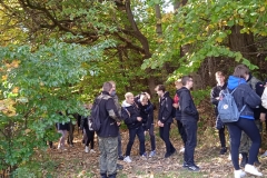 IMG_20221012_115810_1